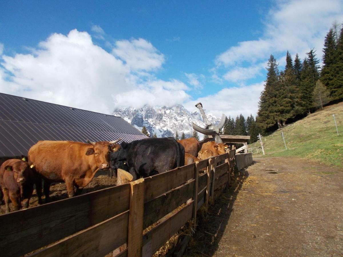 Balcone Sulle Dolomiti Comèlico Superiore Exterior foto